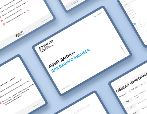 аудит данных от зекслер